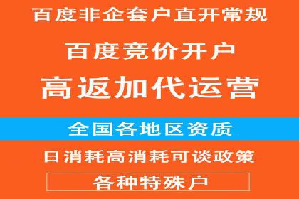 某行业巨头如何利用百度推广服务费提升业绩